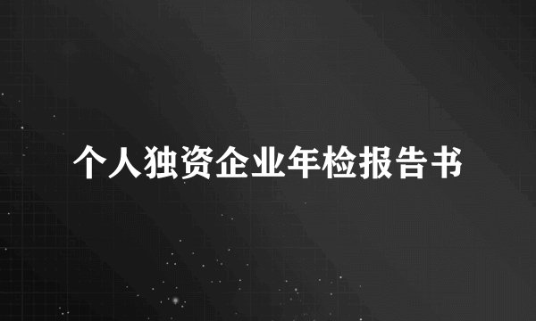 个人独资企业年检报告书