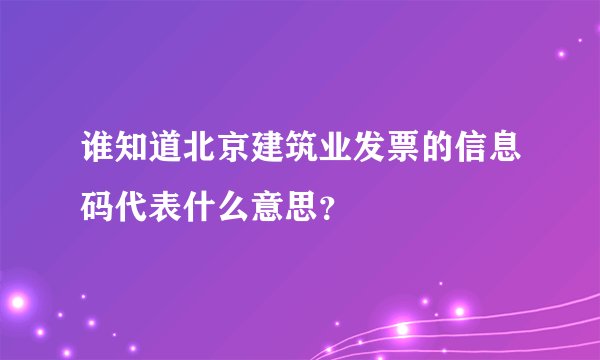 谁知道北京建筑业发票的信息码代表什么意思？