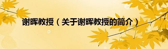 谢晖教授（关于谢晖教授的简介）