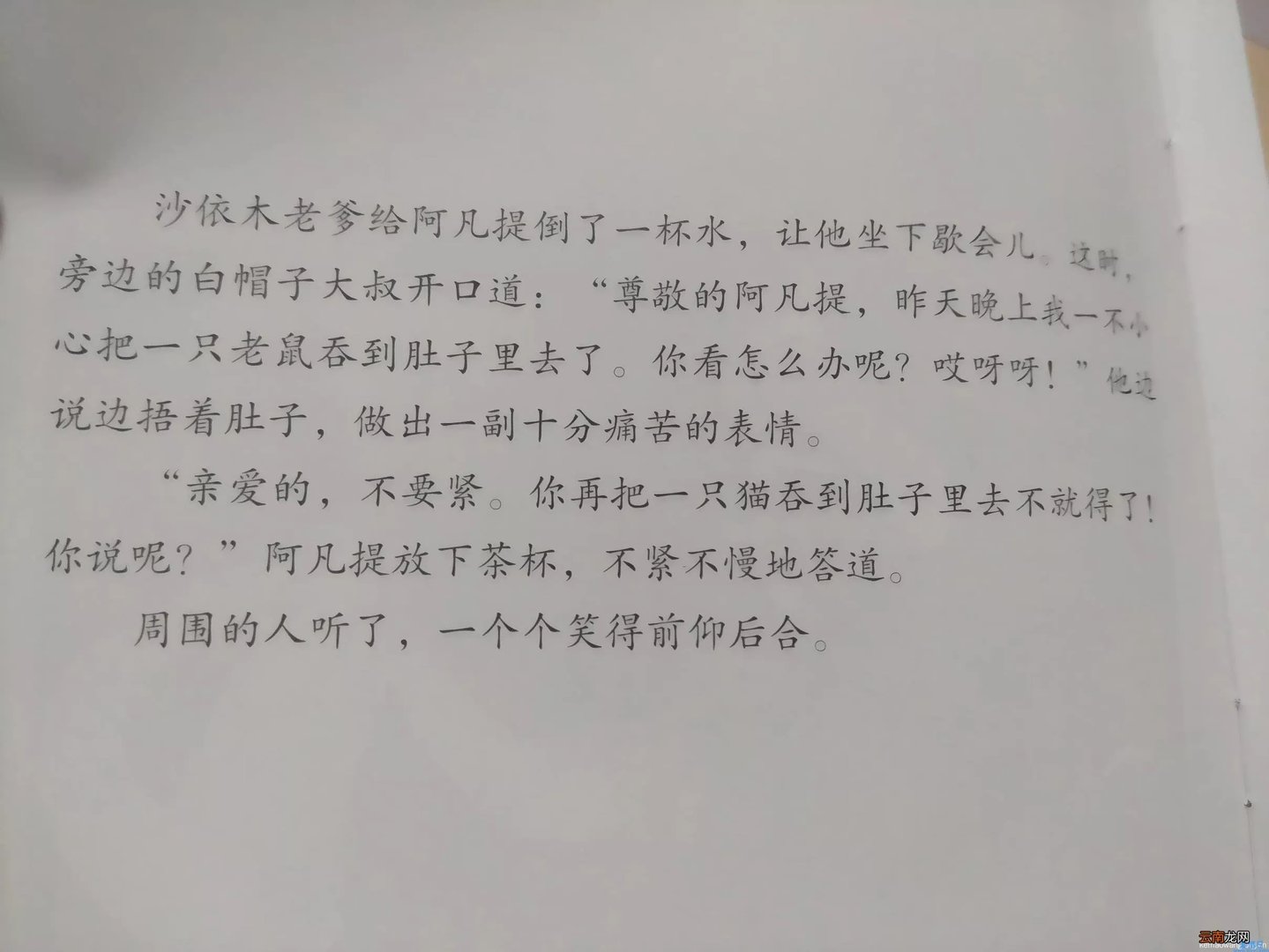 阿凡提和皮皮驴全集 动画片阿凡提的驴叫什么名字