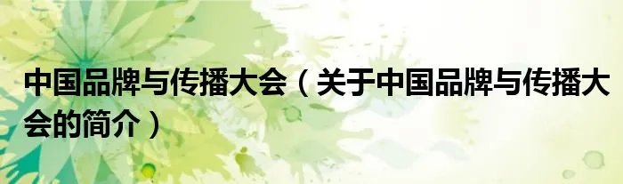 中国品牌与传播大会（关于中国品牌与传播大会的简介）