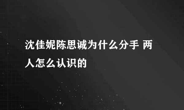 沈佳妮陈思诚为什么分手 两人怎么认识的