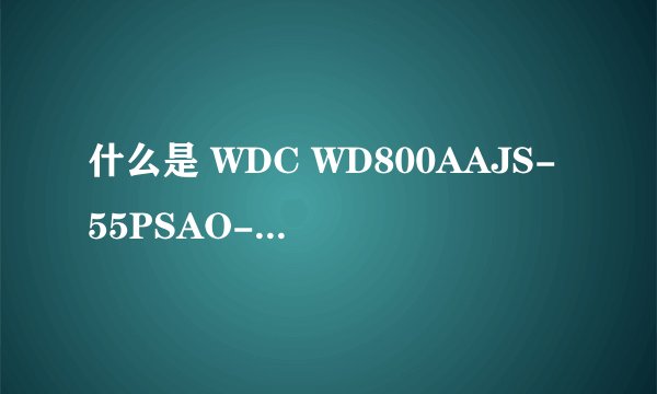 什么是 WDC WD800AAJS-55PSAO-驱动器(F:,E:,D:,C)