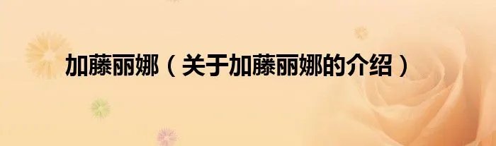 加藤丽娜（关于加藤丽娜的介绍）