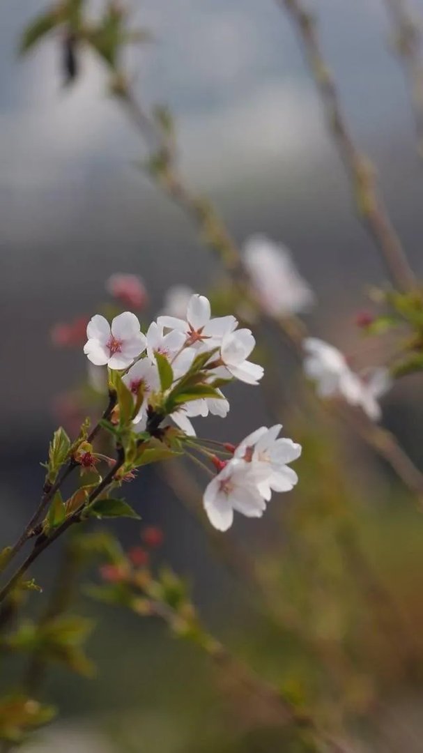 一个人去看演唱会是什么感觉？