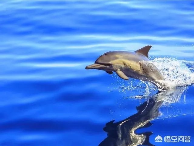 热浪岛旅游攻略有哪些?