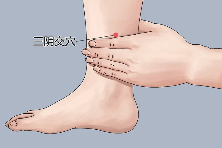 艾灸的部位图片