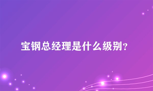 宝钢总经理是什么级别？