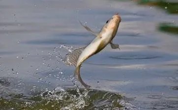 八字戌亥空是什么意思 影响什么