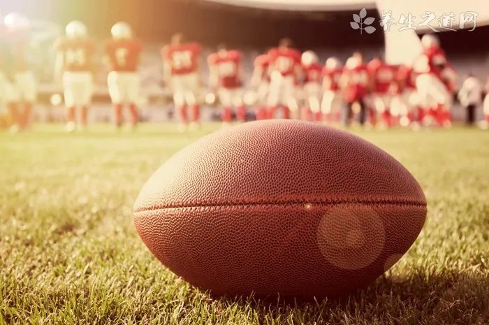 树腰子的功效与作用