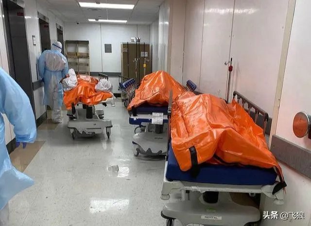 美国退出世卫组织有何后果?