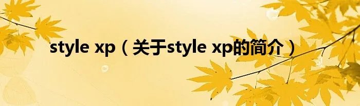 style xp（关于style xp的简介）