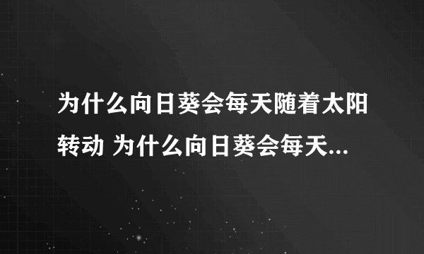 为什么向日葵会每天随着太阳转动 为什么向日葵会每天随着太阳转动原因-飞外网