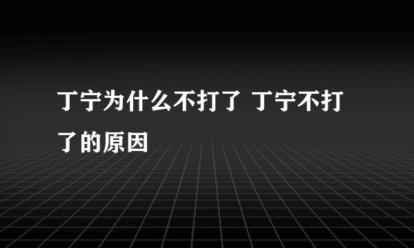 丁宁为什么不打了 丁宁不打了的原因