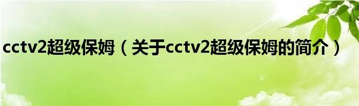 cctv2超级保姆（关于cctv2超级保姆的简介）