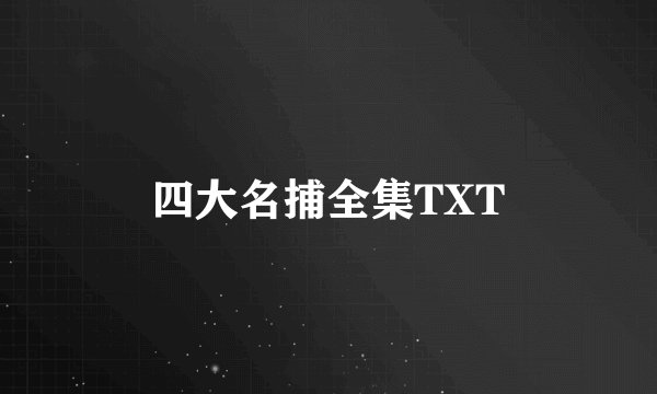 四大名捕全集TXT