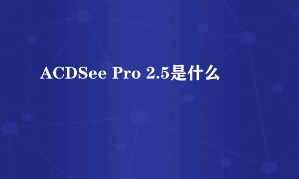 ACDSee Pro 2.5是什么