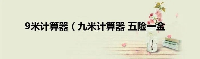 9米计算器（九米计算器 五险一金