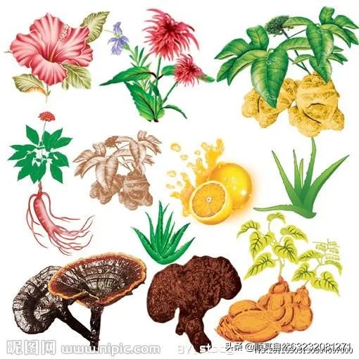 如何看待“湖北一半以上确诊病例都用中医药治疗”?