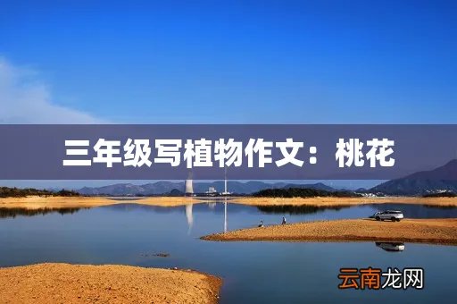三年级写植物作文：桃花