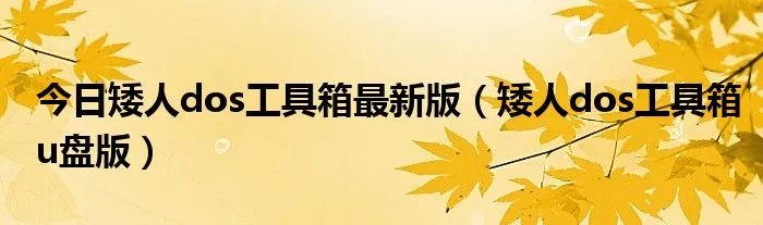 今日矮人dos工具箱最新版（矮人dos工具箱u盘版）