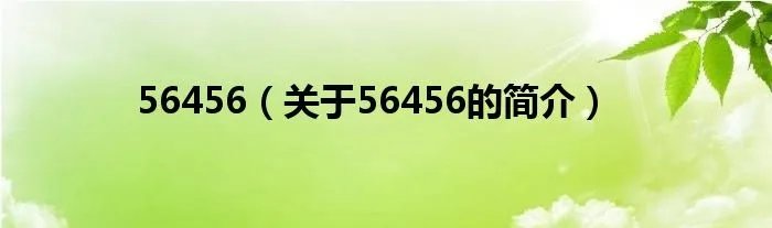 56456（关于56456的简介）