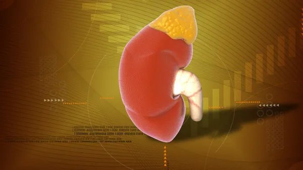 肾肿瘤切除术后注意什么