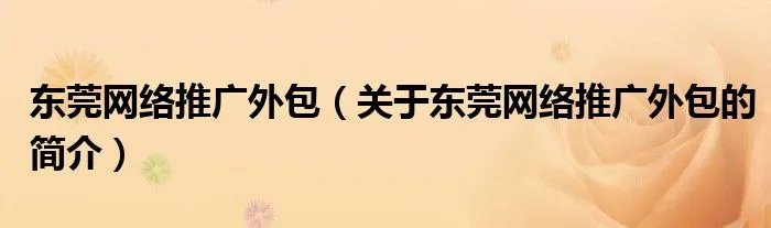 东莞网络推广外包（关于东莞网络推广外包的简介）