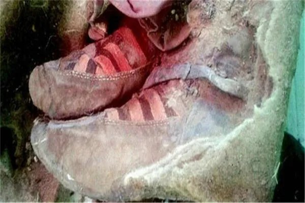 蒙古现千年木乃伊是真的吗 是真的（疑似为突厥人）