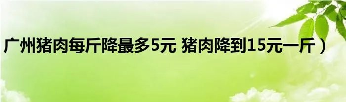 广州猪肉每斤降最多5元 猪肉降到15元一斤）