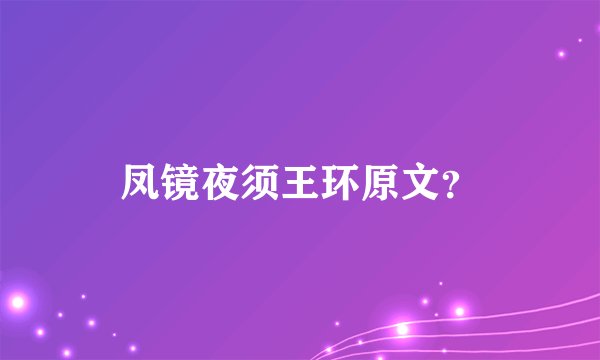 凤镜夜须王环原文？