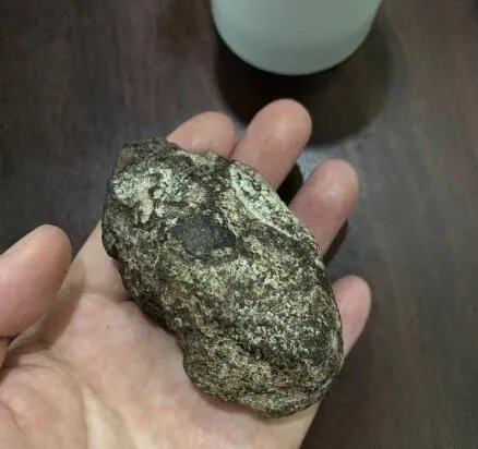 龙涎香是什么动物的分泌物 有没有人工做的龙涎香