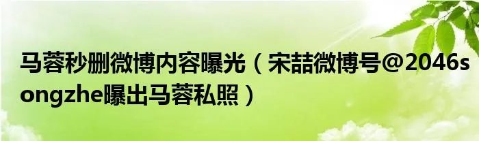 马蓉秒删微博内容曝光（宋喆微博号@2046songzhe曝出马蓉私照）