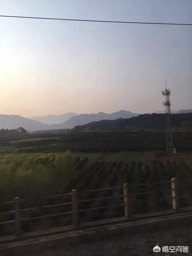 什么叫网络基站?