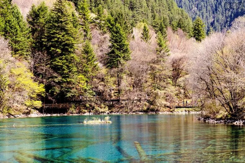 九寨沟火花海将于国庆前开放 景区门票多少钱？