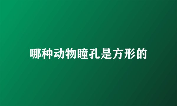 哪种动物瞳孔是方形的