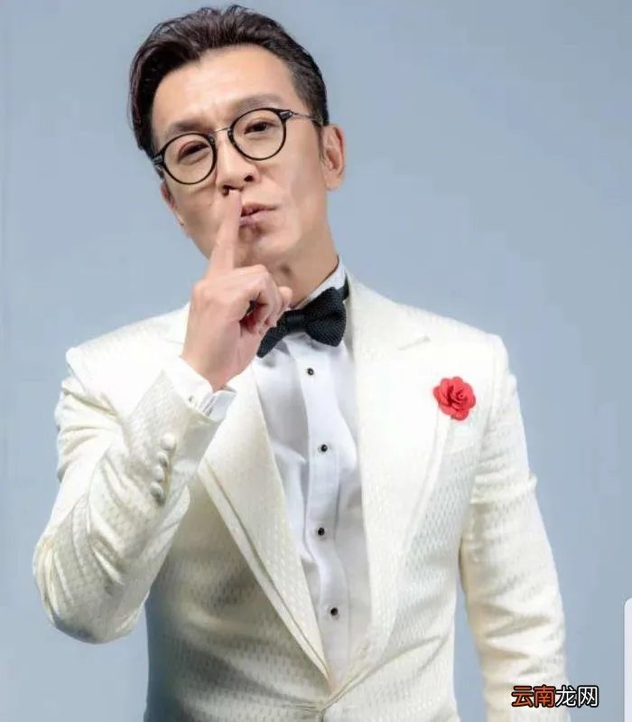 老婆哈文不改嫁 哈文改嫁的丈夫是谁