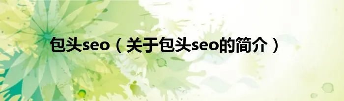 包头seo（关于包头seo的简介）