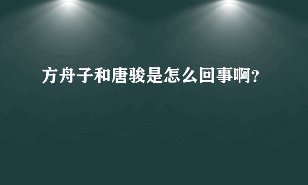 方舟子和唐骏是怎么回事啊？