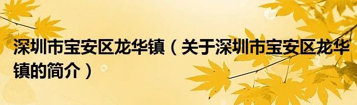 深圳市宝安区龙华镇（关于深圳市宝安区龙华镇的简介）