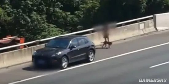 狗子晕车女子高速下车遛狗 交警对其进行处罚