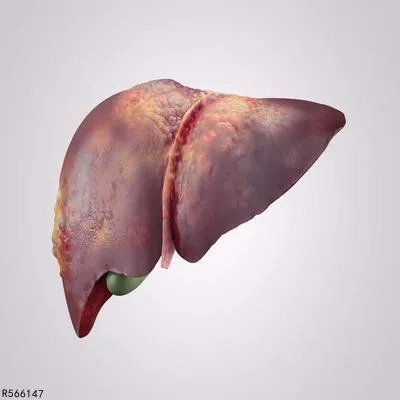 肝胆外科中医都看什么病