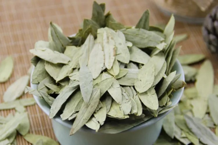 润肠通便的中草药植物图片