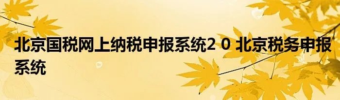 北京国税网上纳税申报系统2 0 北京税务申报系统