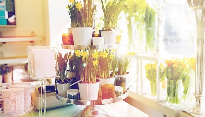 水仙不开花歇后语 水仙不开花的歇后语下一句是什么