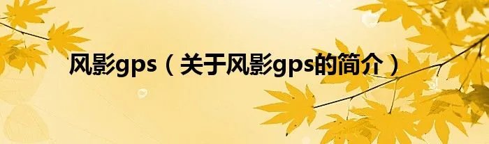 风影gps（关于风影gps的简介）