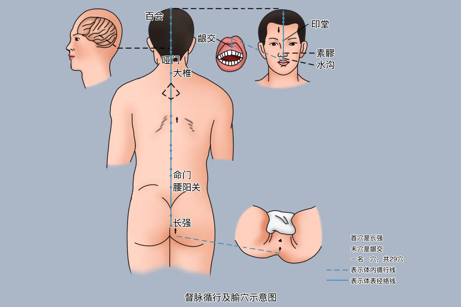 女性任督二脉的准确位置图