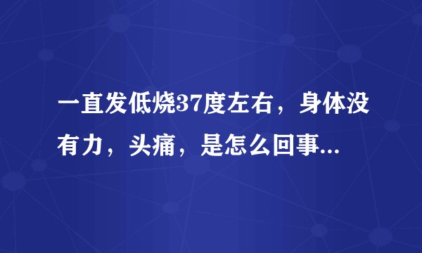 一直发低烧37度左右，身体没有力，头痛，是怎么回事，应该怎么医？