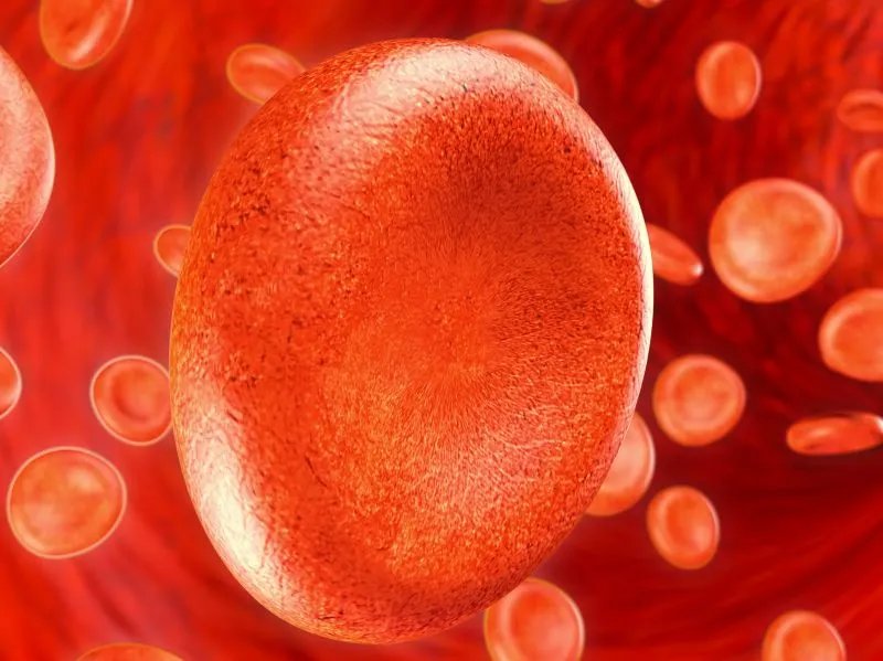 难治性血小板减少的治疗原则