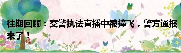 往期回顾：交警执法直播中被撞飞，警方通报来了！